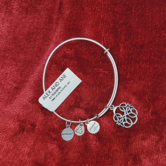 WEAR FOR GROWTH + NEW BEGINNINGS  Alex And Ani Bracelet - Picture 2 of 6